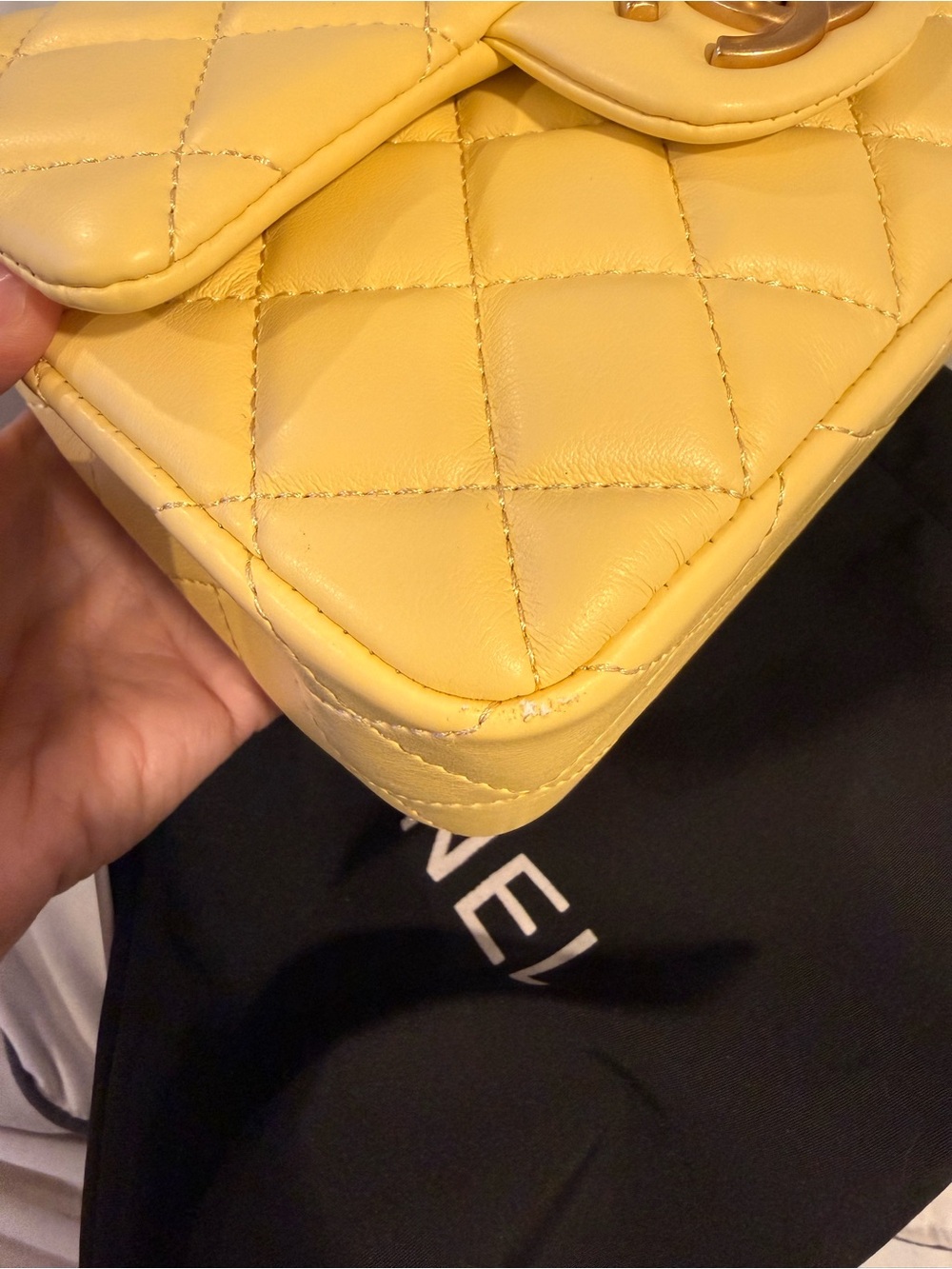 MINI LUXURY BAG - Picture 16 of 16